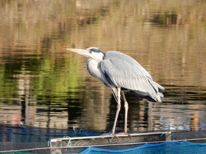 f0247039_19571894.jpg