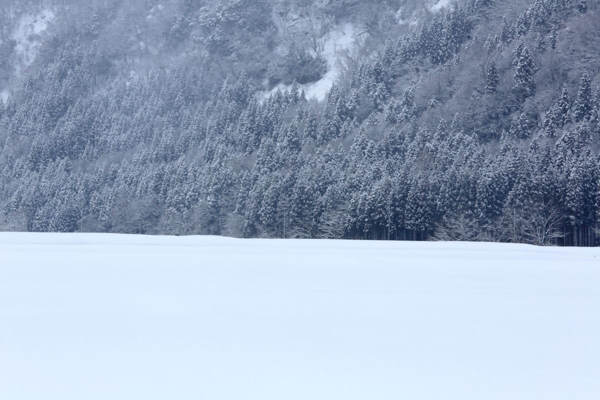 d0135242_21202014.jpg