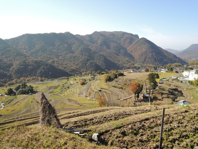 b0173754_14501917.jpg