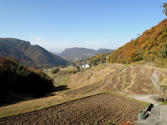 b0173754_14502871.jpg