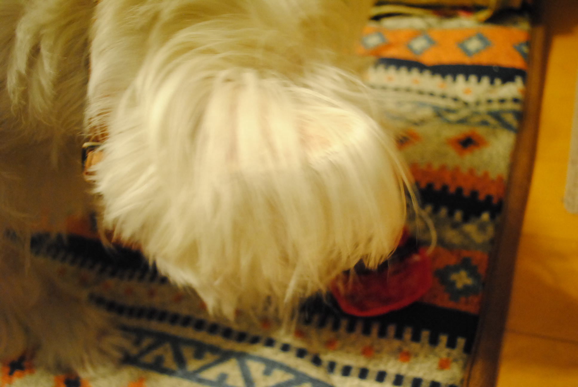 b0242873_00161036.jpg