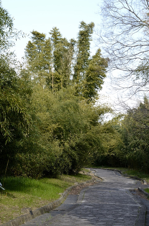 f0108478_21382377.jpg