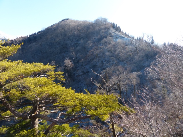 f0357487_2012038.jpg