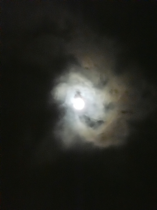 b0147093_3102028.jpg