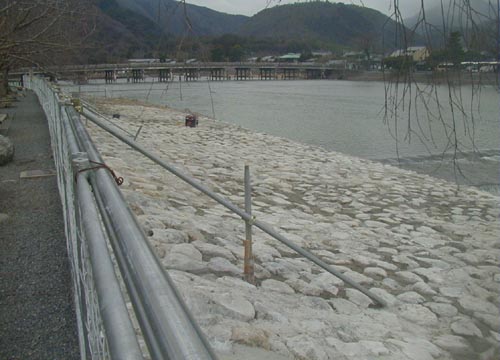 d0053294_1193732.jpg