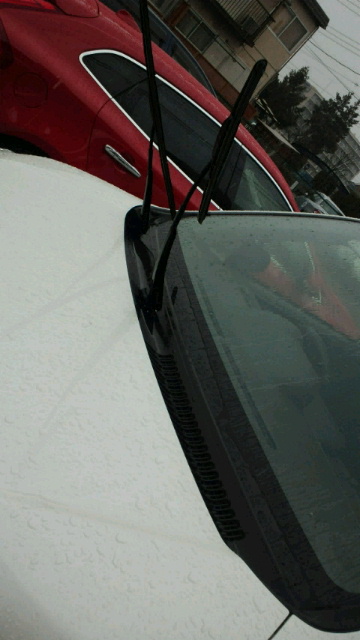 e0193506_1239897.jpg