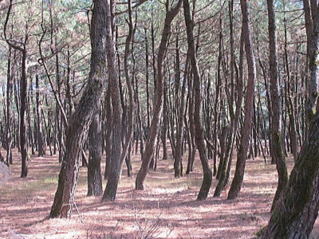 c0178009_16113710.jpg