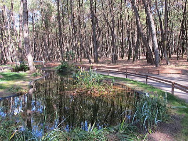c0178009_16114919.jpg