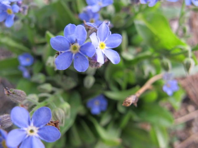 c0178009_16271863.jpg