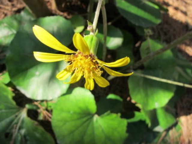 c0178009_1645644.jpg