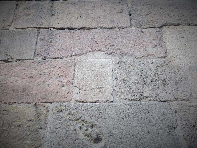 b0064411_05375914.jpg