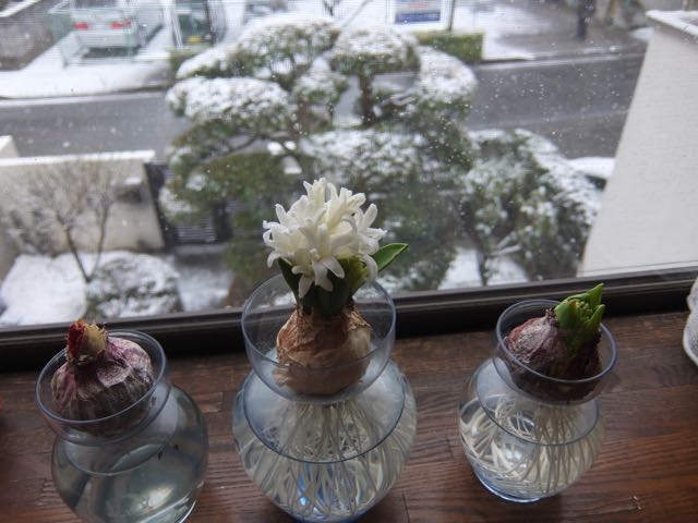 b0309813_22294870.jpg