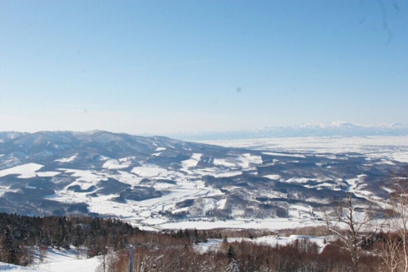 b0310518_176163.jpg