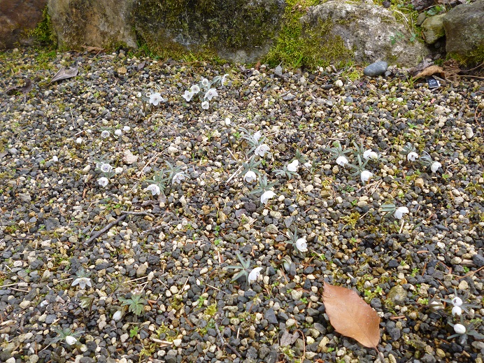 f0228619_1574353.jpg