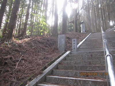 f0193521_191463.jpg