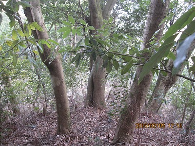 f0193521_20534939.jpg