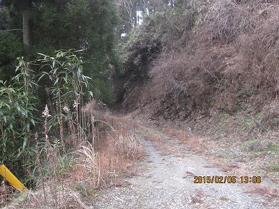 f0193521_212915.jpg