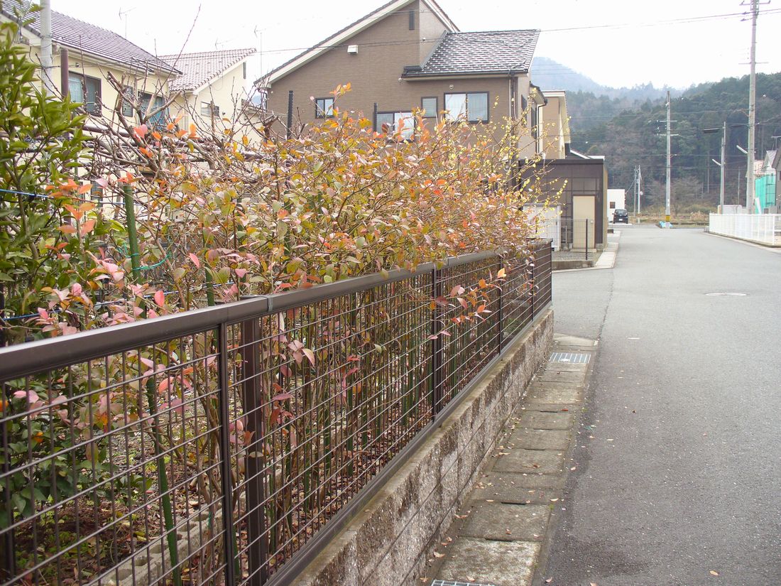 f0346527_2147688.jpg