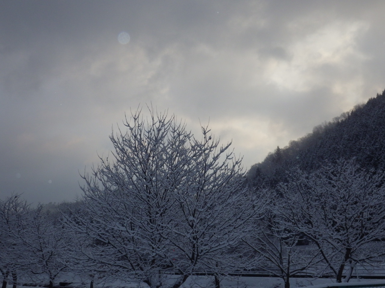 c0300035_8322251.jpg