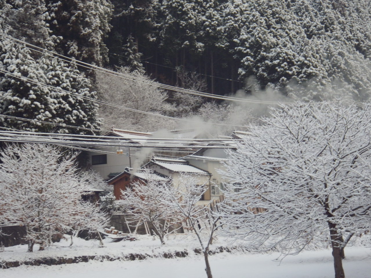 c0300035_8324849.jpg