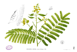 e0272335_16284361.png