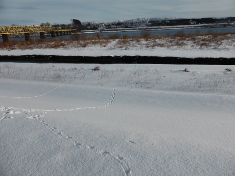 b0238249_19201527.jpg