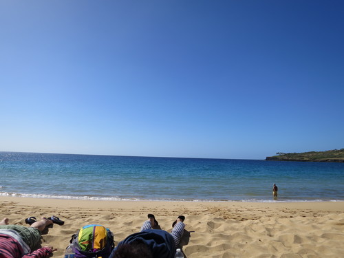 f0201657_11382279.jpg