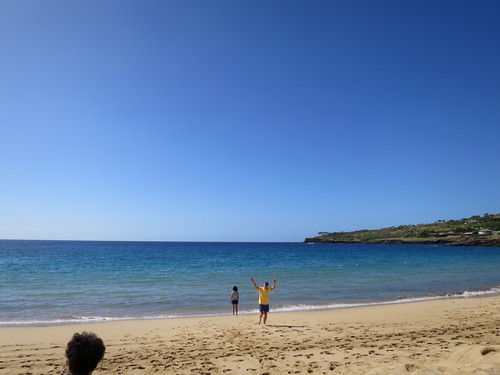 f0201657_119868.jpg