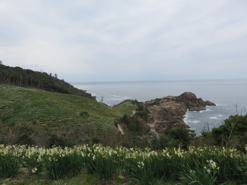 a0330561_11344972.jpg