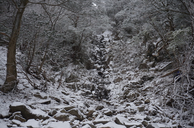 f0016066_18172093.jpg