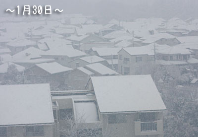 a0119470_2233289.jpg