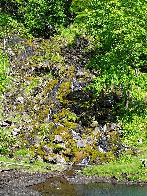 b0171771_19373027.jpg
