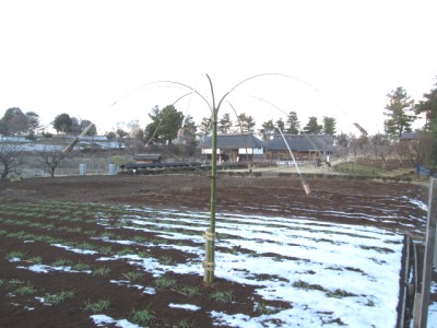 c0112172_14422231.jpg