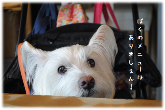 b0242873_01114420.png