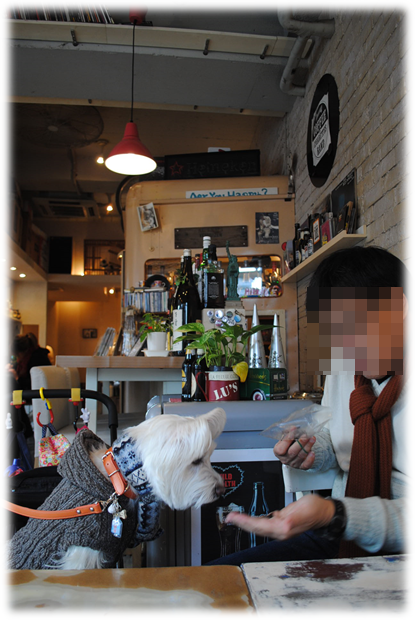 b0242873_01190099.png