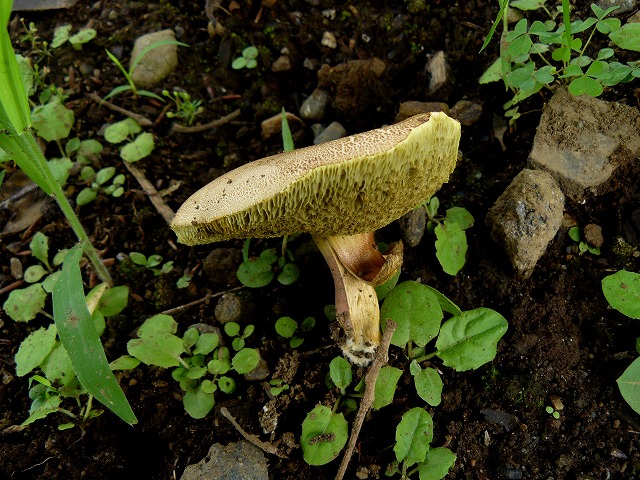 d0019074_9551669.jpg