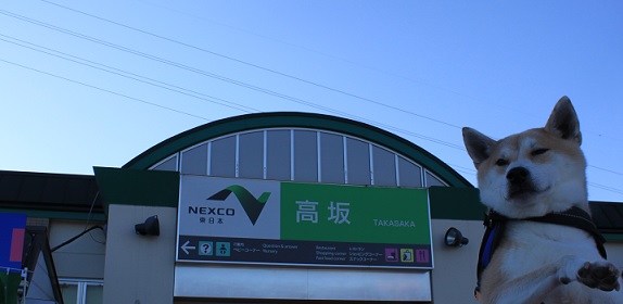 f0230777_934979.jpg