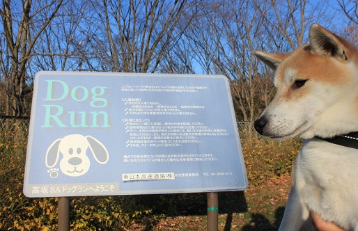 f0230777_9355484.jpg