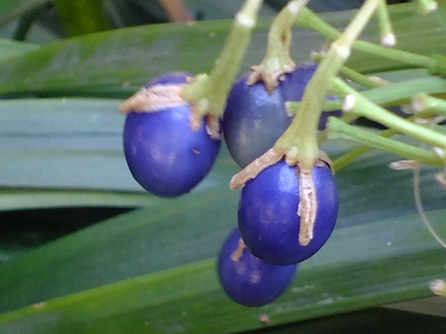 e0145782_1953972.jpg