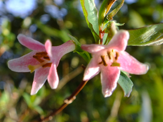 e0145782_2083062.jpg