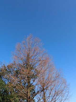 f0345284_16160966.jpg