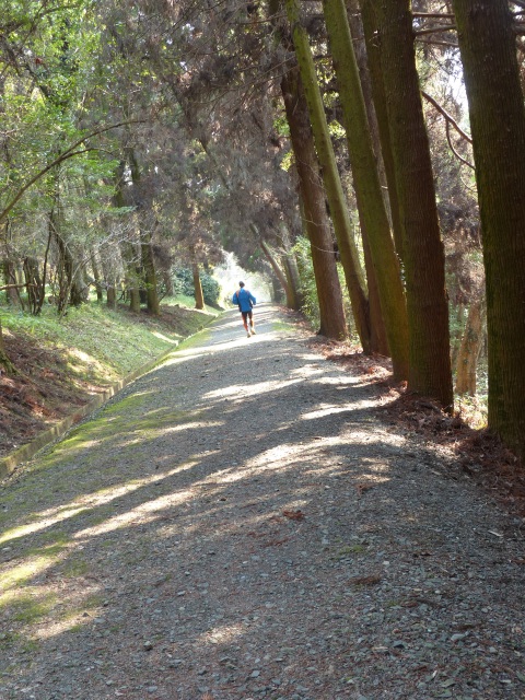 f0357487_22164484.jpg