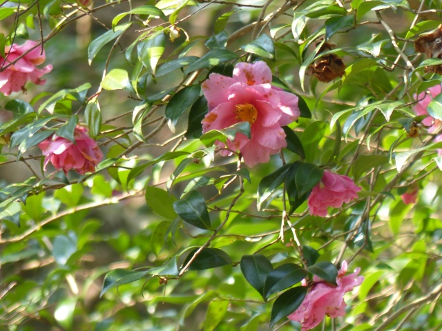 f0357487_22175237.jpg