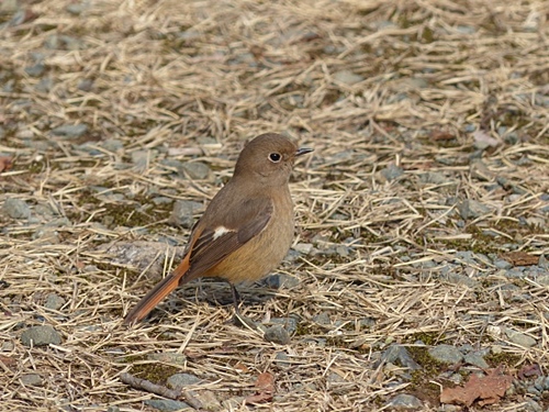 f0357487_22215585.jpg