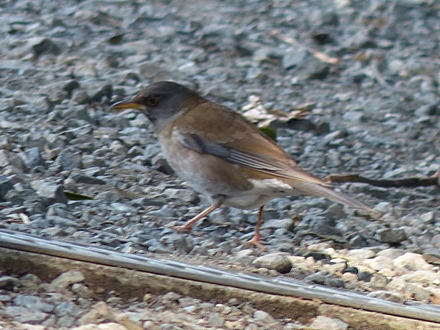 f0357487_22233847.jpg