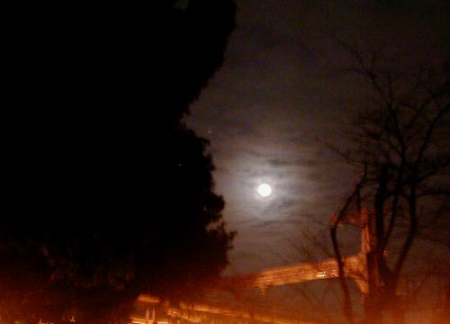 d0053294_136389.jpg