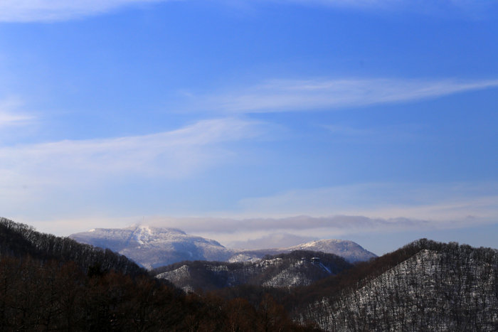 f0001895_15235829.jpg