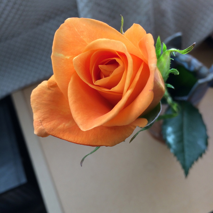 f0305995_09462.jpg