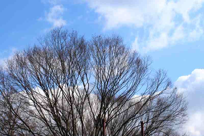 f0083400_22593064.jpg
