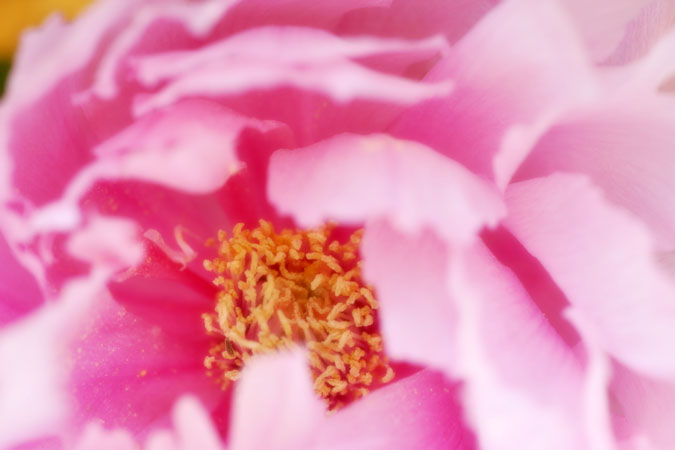 a0263109_12423986.jpg